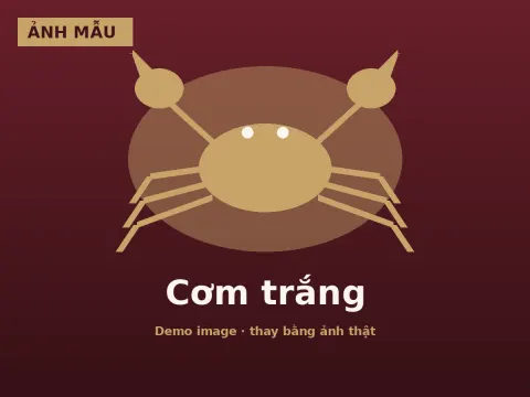 Cơm trắng